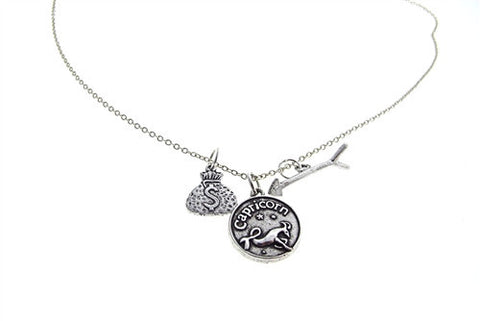 Capricorn Zodiac Charm Necklace